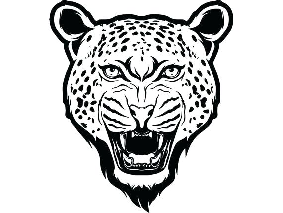570x429 cheetah face drawing cheetah face line drawing zupa