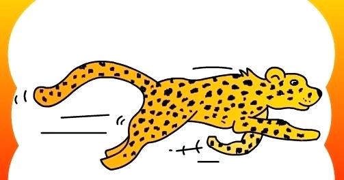 503x264 how to draw a chetah draw cheetah how to draw a cheetah face easy