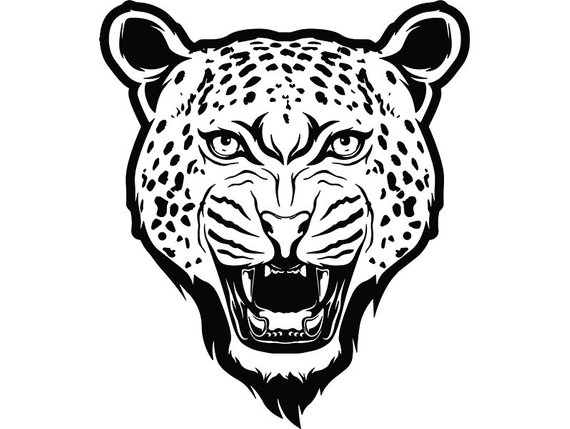 570x429 Cheetah Leopard Mascot Head Face Animal Growling Cartoon Etsy