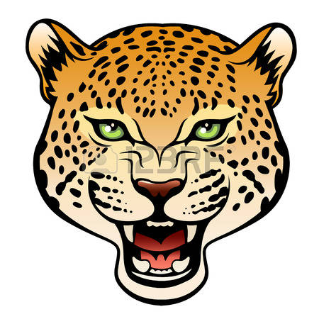 450x450 Head Clipart Cheetah