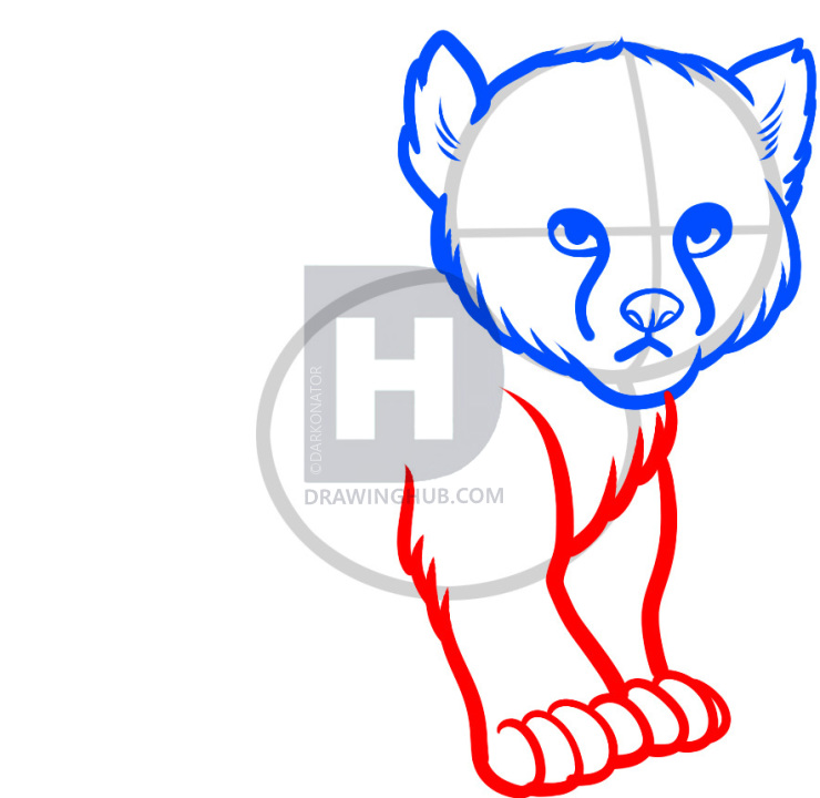 740x720 how to draw a baby cheetah, baby cheetah, step