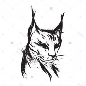 300x300 The Head Of A Wild Cat Spotted A Cheetah Colouring Book