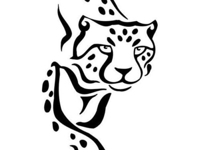 640x480 Free Drawn Cheetah, Download Free Clip Art