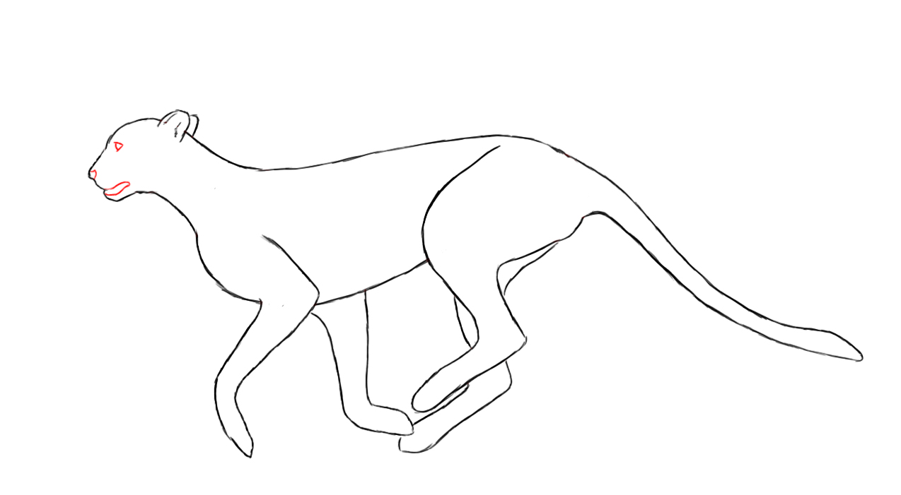 1274x701 How To Draw A Cheetah