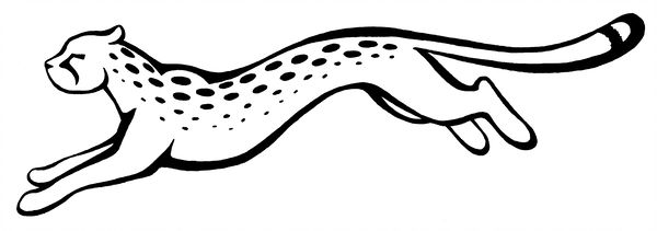 600x211 Cheetah Drawing