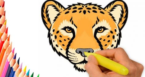 471x250 Drawing Easy And Simple Cheetah Outline Head Bird Eyes Girl