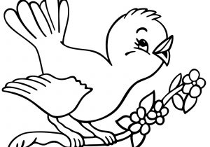 300x210 Drawing For Kids To Color Outline Drawing For Colouring