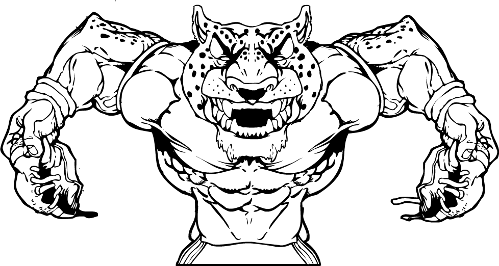 978x522 Football Outline