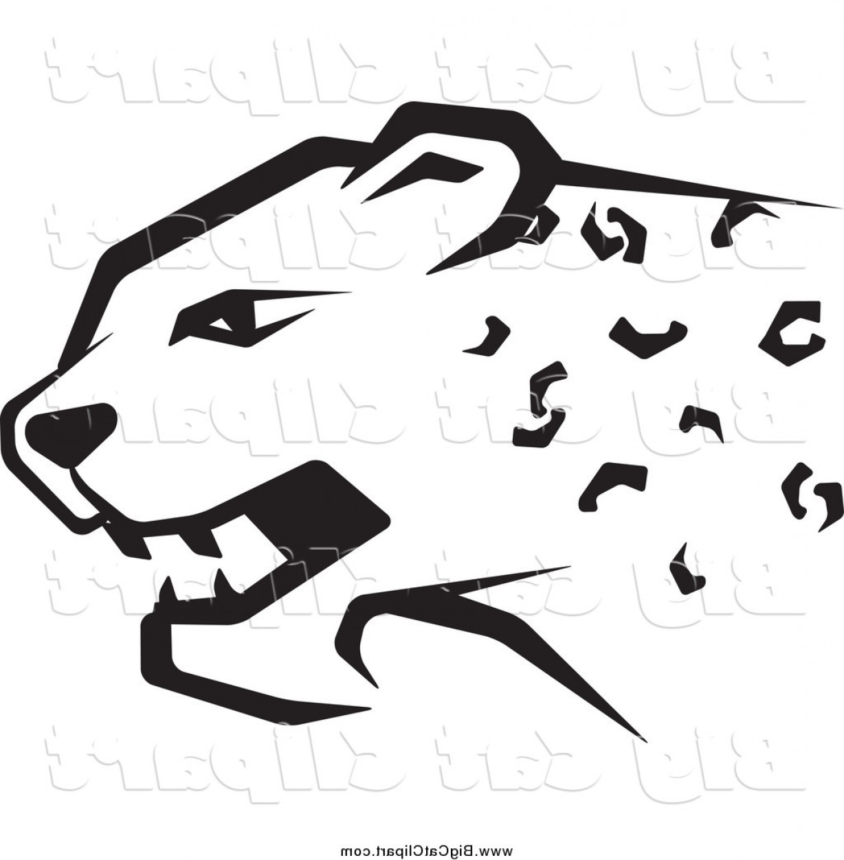 1228x1252 Big Cat Vector Clipart Of A Black And White Cheetah Head