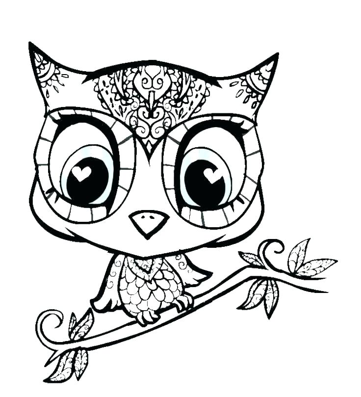 736x809 Cheetah Print Coloring Pages To Animal Out Disney