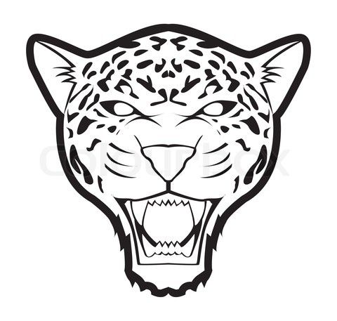 480x457 jaguar inspiration animalcity jaguar, drawing stencils, drawings