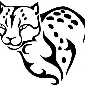 336x336 Printable Cheetah Pages For Adults Colouring In Color Of A Chester
