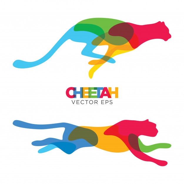 626x626 Cheetah Vectors, Photos And Free Download