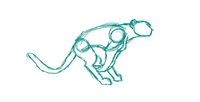 675x345 Cheetah Run Animation Sketch Gif Find, Make Share Gfycat Gifs