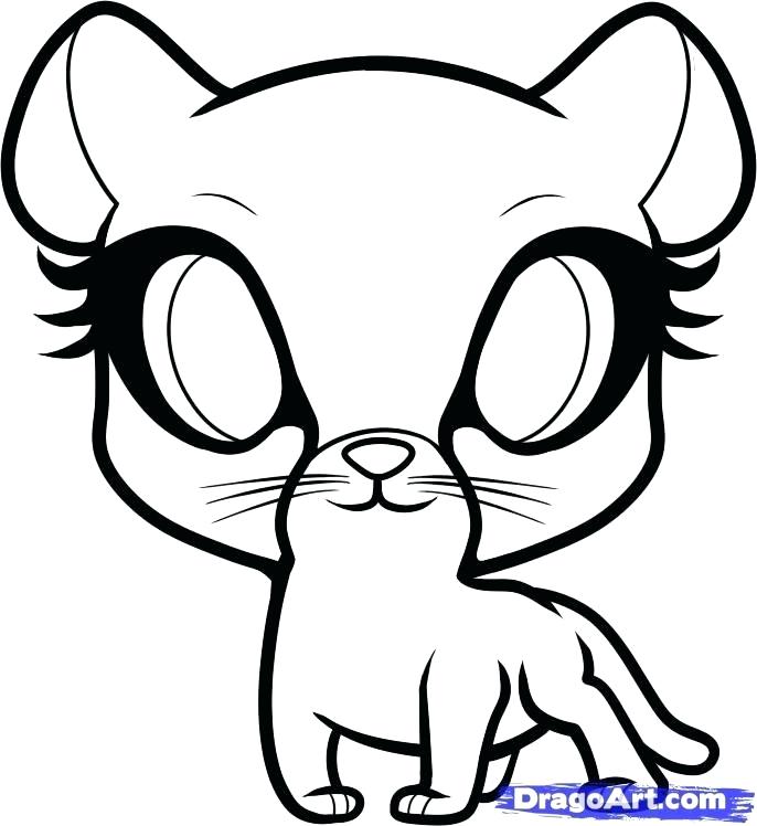 686x748 How To Draw An Easy Cheetah Easy Draw Cheetah Print