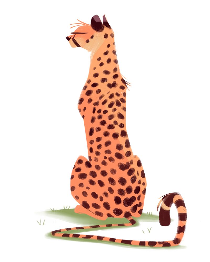 800x1000 Cheetah My Favorite Big Kitty Randomness In Cat