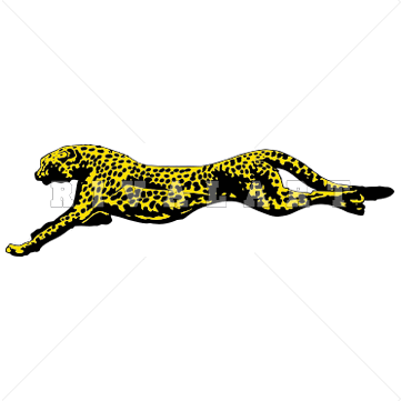 361x361 Snow Leopard Drawing Clipart