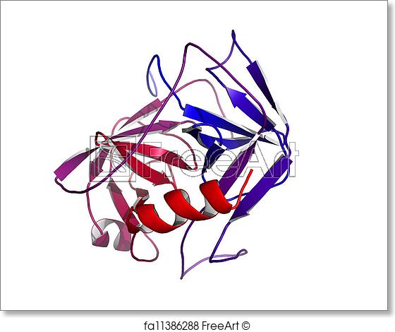 560x470 free art print of prostate specific antigen