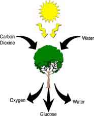 185x227 Chemistry Department, Florida State University