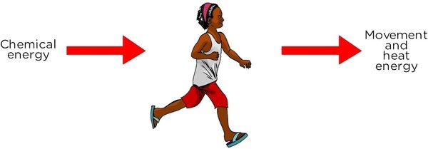 600x209 thunderbolt kids