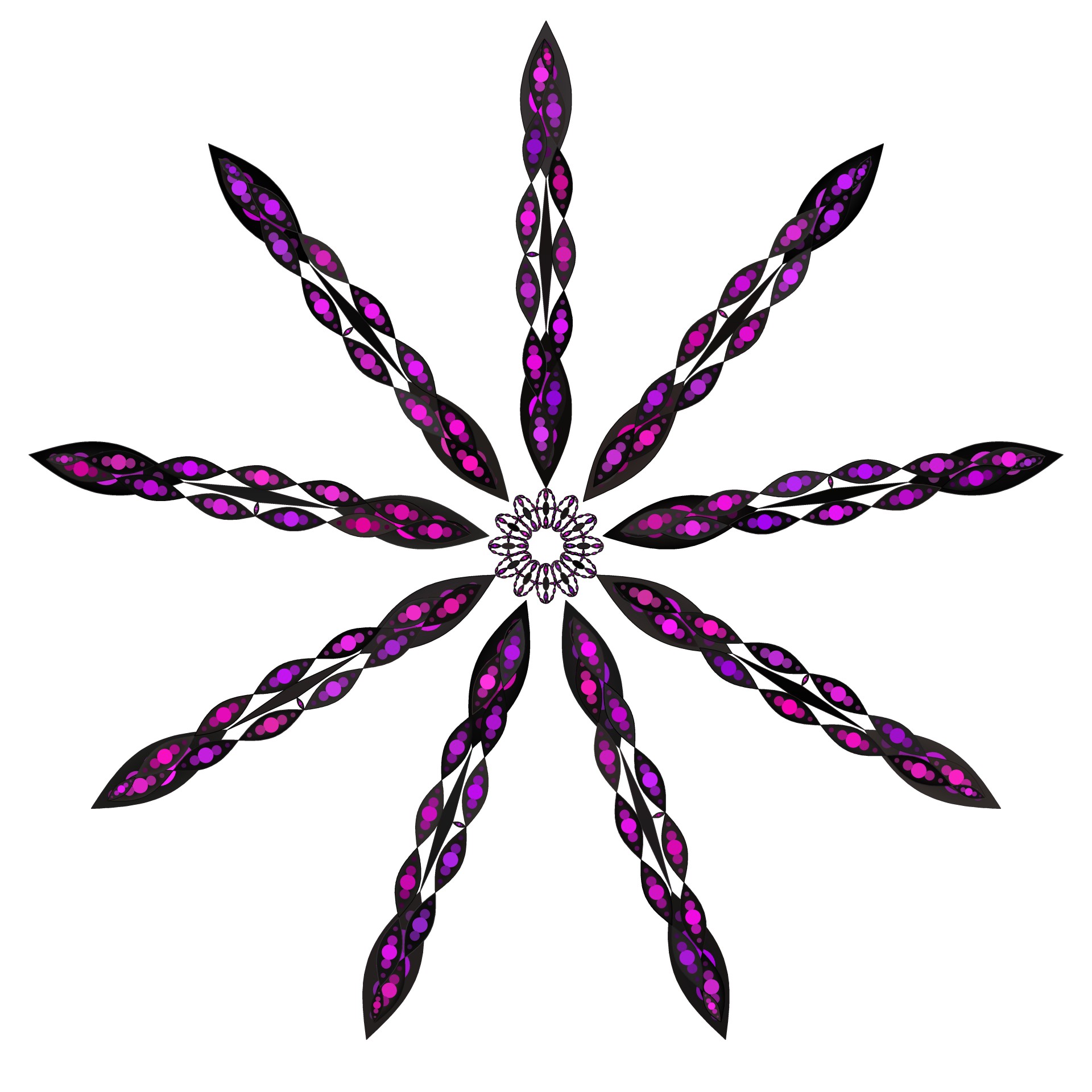 1920x1920 Rose, Window, Flower, Symmetric, Color