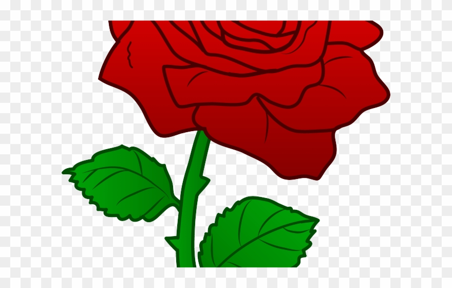 880x560 White Rose Clipart One White