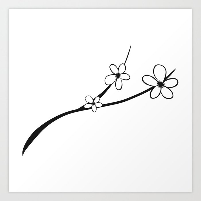 700x700 Huge Collection Of 'japanese Cherry Blossom Drawing Black