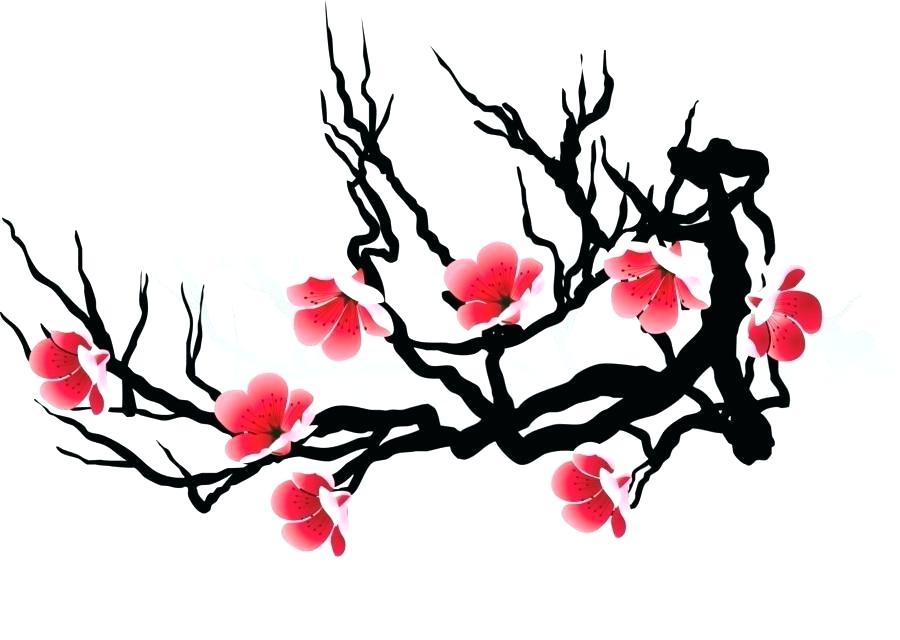900x640 japanese cherry blossom sketch cherry blossom drawing flower japan