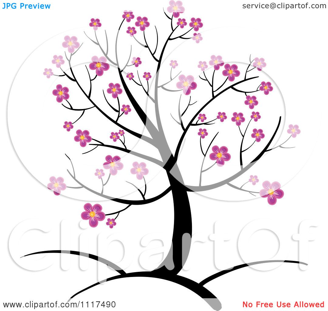 1080x1024 Cherry Blossom Branch Drawings Clip Art