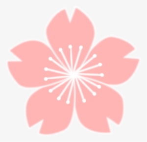 300x290 Cherry Blossom Flower Png Images Png Cliparts Free Download