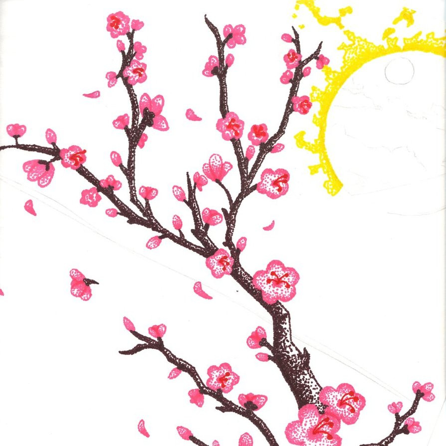 894x894 cherry blossom tree drawing cherry blossom drawings clip art