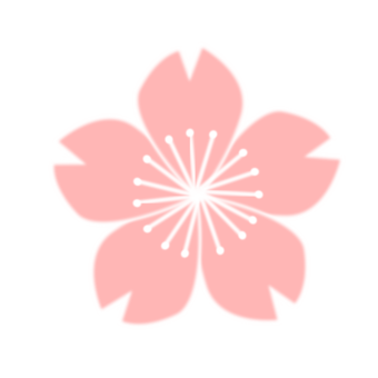 340x340 Cherry Blossom Drawing Flower Cc0