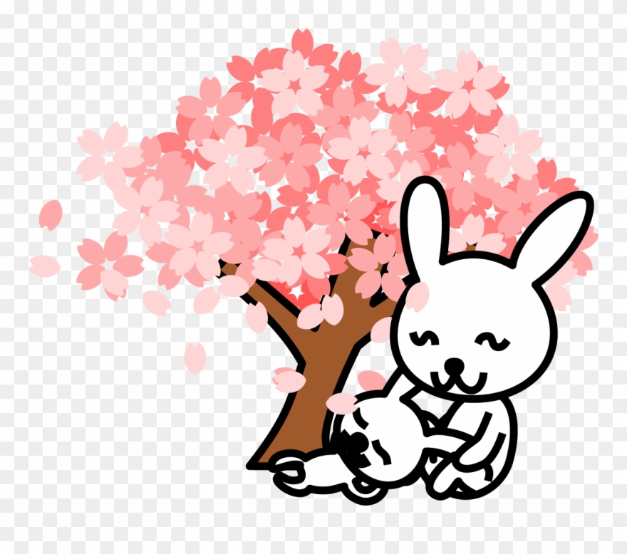 880x778 Cherry Blossom Clipart At Getdrawings