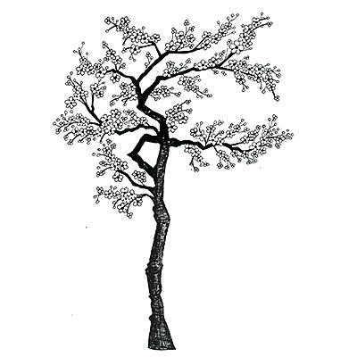 400x400 Blossom Tree Drawing