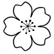 180x180 Cherry Blossom Template Templates