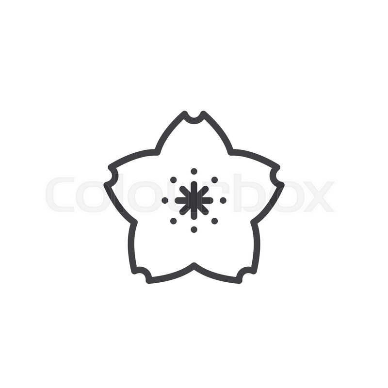 800x800 Sakura Flower Line Icon Linear Style Stock Vector Colourbox