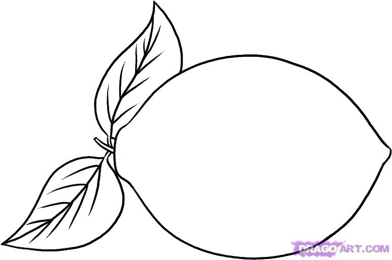 772x512 How To Draw Cherries Step