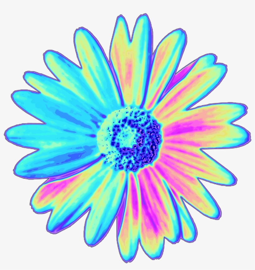 820x869 Daisy Holographic Flower Flower Holo Holographic Tumblr