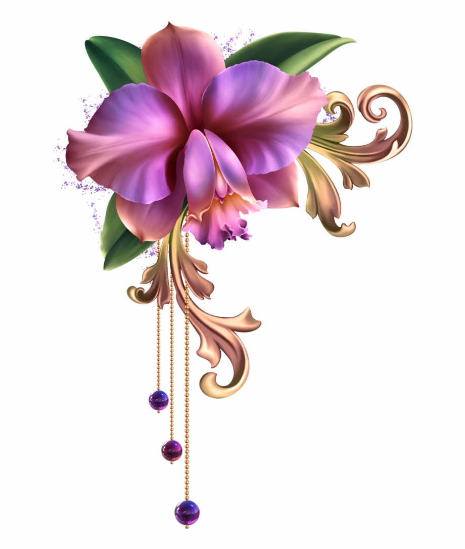 920x1085 Drawing Orchid Flower