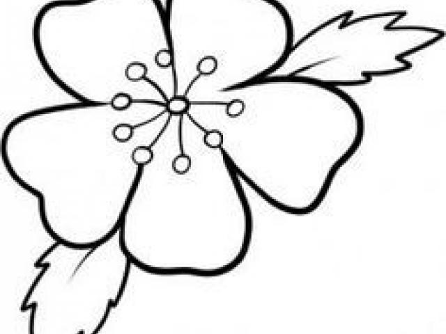 640x480 Blossom Clipart Transparent Tumblr Free Clip Art Stock