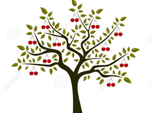640x480 Cherry Tree Clipart Free Clip Art Stock Illustrations