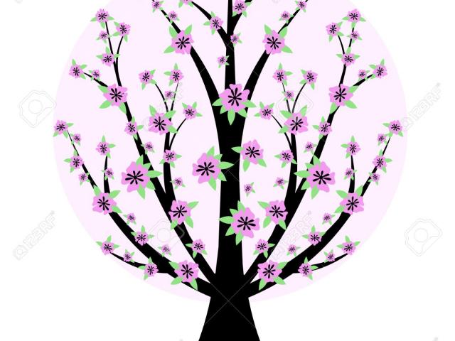 640x480 Cherry Tree Clipart Apple Blossom Free Clip Art Stock