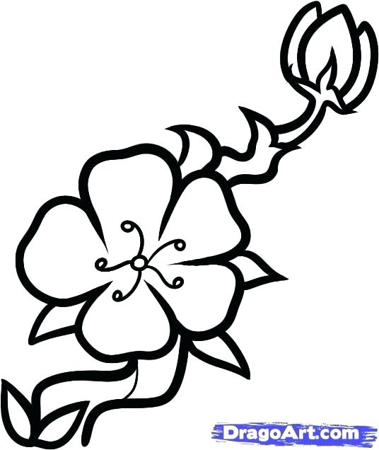 536x636 how to draw a sakura tree draw sakura tree