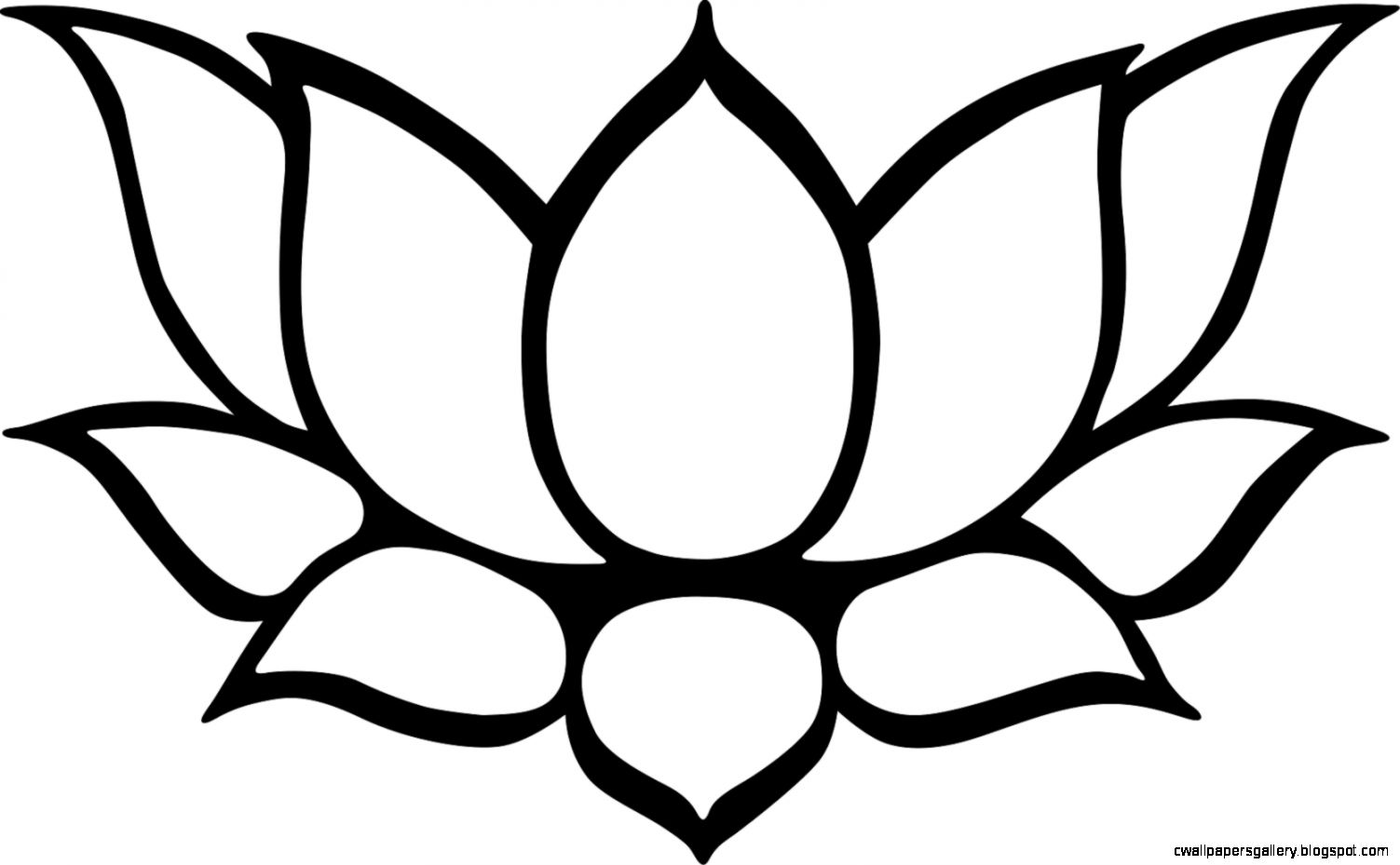 1503x929 Lotus Drawing Wallpaper For Free Download