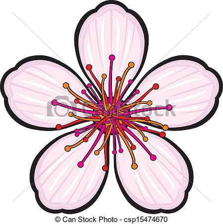 450x453 Cherry Blossom Flower