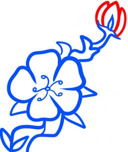 255x302 How To Draw How To Draw A Cherry Blossom For Kids