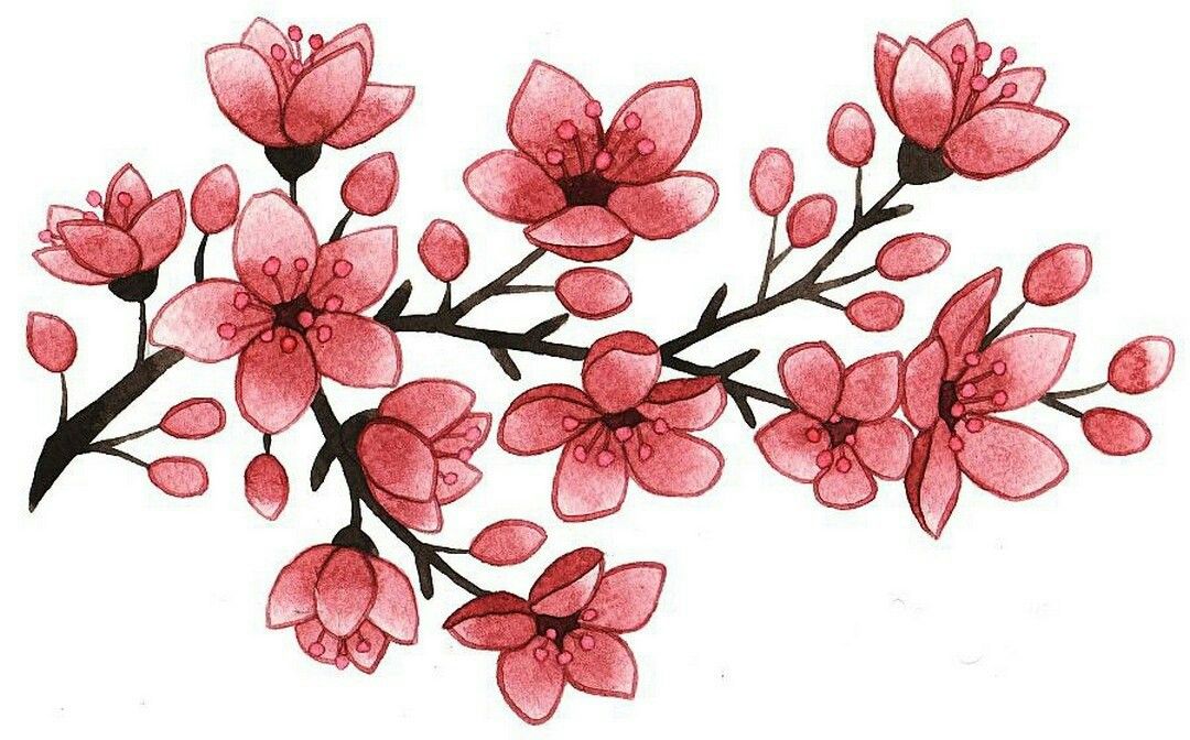 1080x672 Melkie Tcvety In Cherry Blossom Tattoo