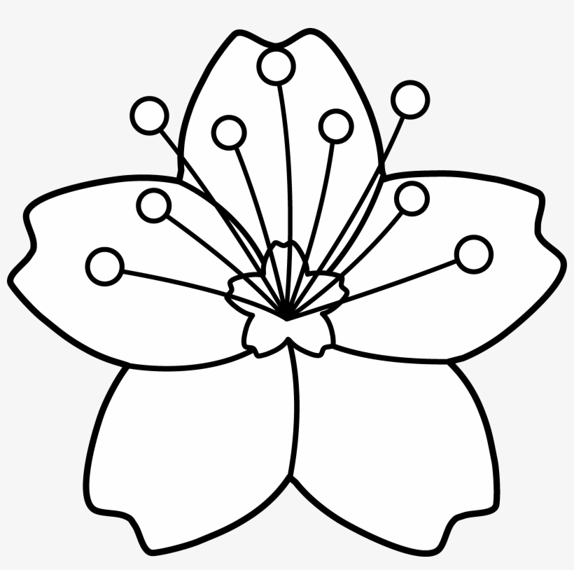 820x814 Cherry Blossom Line Art