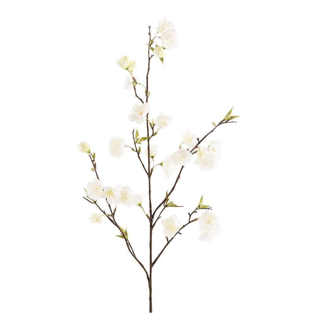 1024x1024 Discover Exquisite Faux Cherry Blossoms Bloomr