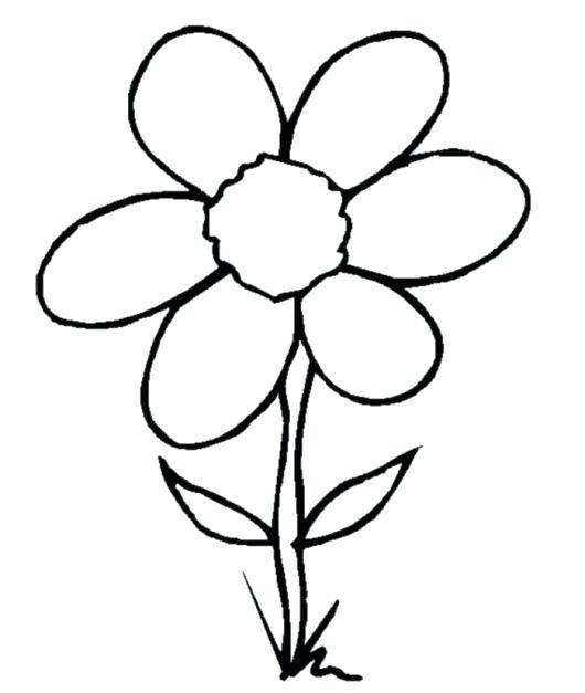 530x627 flower drawing clipart pansy flower drawing flower pot clipart
